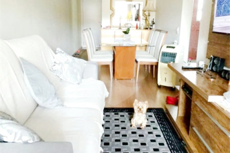 Apartamento à venda com 3 quartos, sendo 1 suíte, em Vila Valparaíso, Santo André, SP