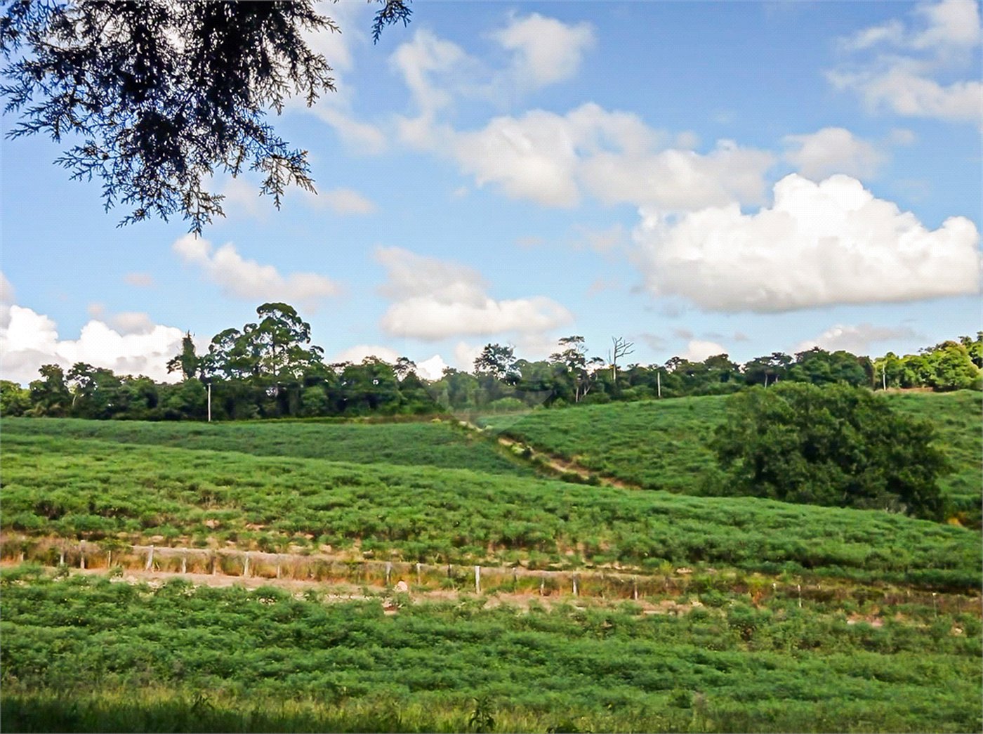 Terreno à venda em Iara, Atibaia, SP