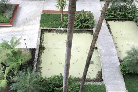 Apartamento à venda com 4 quartos, sendo 1 suíte, em Vila Uberabinha, São Paulo, SP