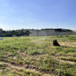 Terreno à venda no condomínio Jardim Residencial Reserva da Mata, Indaiatuba - SP