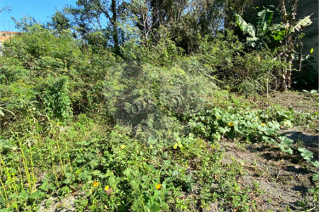 Terreno à venda em Campo Lindo, Seropédica, RJ