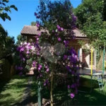 Casa à venda com 3 quartos, sendo 1 suíte, em Serra da Cantareira, Mairiporã, SP