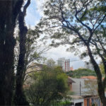 Sobrado à venda com 4 suítes em Moema, São Paulo, SP