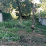 Terreno à venda em João Xxiii, Vinhedo, SP