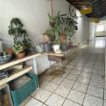 Casa à venda com 3 quartos em Aqui Se Vive, Indaiatuba, SP