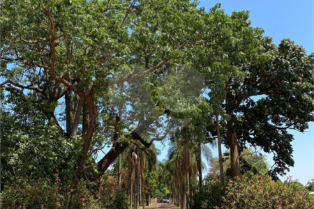 Terreno à venda em Recreio Anhangüera, Ribeirão Preto, SP