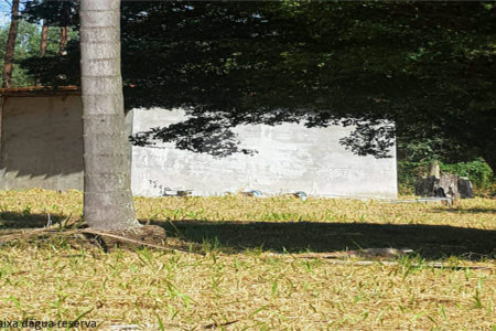 Sítio à venda com 7 quartos em Jardim Paraíso II, Itu, SP