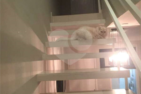 Apartamento à venda com 3 quartos em Parque Reserva Fazenda Imperial, Sorocaba, SP