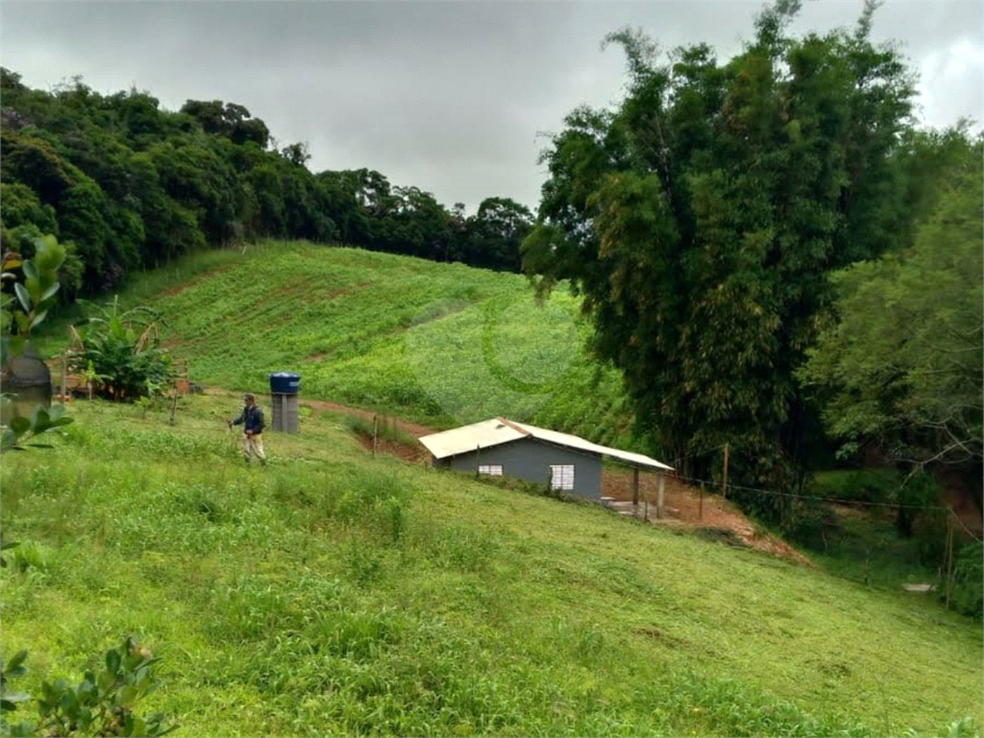 Sítio à venda com 5 quartos, sendo 1 suíte,  em Área Rural de Tapiraí, Tapiraí, SP
