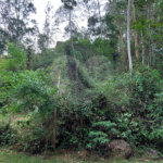 Terreno à venda no condomínio Sausalito, Mairiporã - SP
