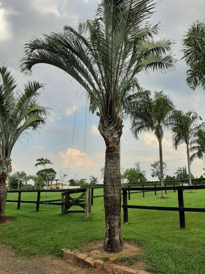 Rancho com 12 dormitórios à venda, 63000 m² por R$ 7.500.000,00 - Condomínio Haras Paineiras - Salto/SP