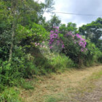 Terreno à venda em Serra da Cantareira, Mairiporã, SP