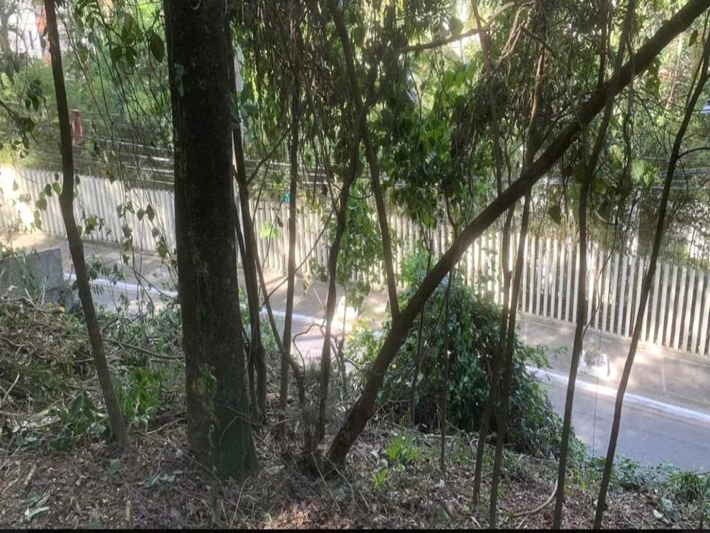 Terreno à venda em Jardim Peri Peri, São Paulo, SP
