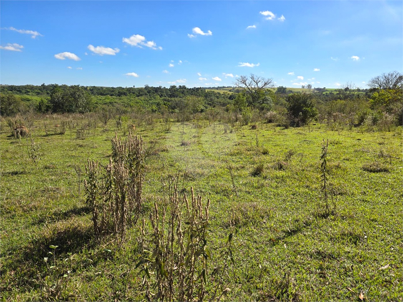 Terreno à venda em Cercadinho, Alambari, SP