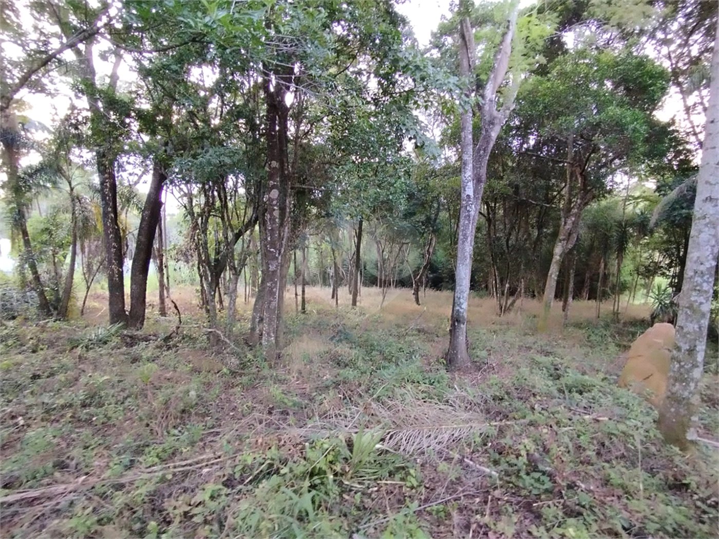 Terreno à venda em Chácaras do Guacuri, Itupeva, SP