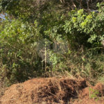 Terreno à venda em Marina, Armação dos Búzios, RJ