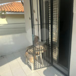 Sobrado à venda com 4 quartos, sendo 2 suítes, em Jardim São Paulo(zona Norte), São Paulo, SP