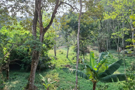 Sítio à venda com 3 quartos, sendo 1 suíte, em Bairro do Cambará, São Roque, SP