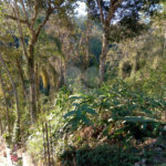 Terreno à venda no condomínio Cinco Lagos, Mairiporã - SP