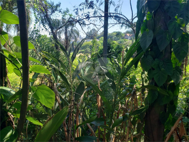 Terreno à venda em Morumbi, São Paulo, SP