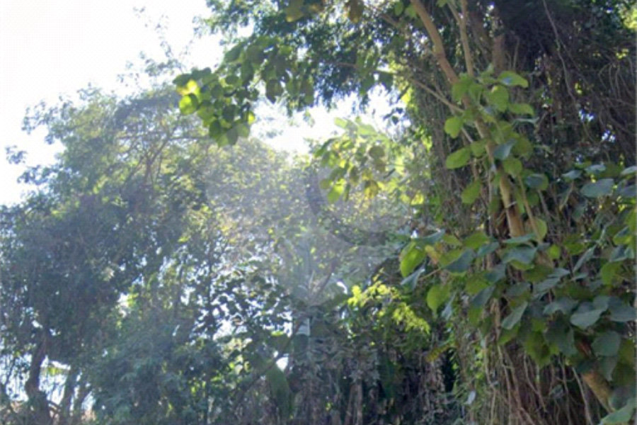 Terreno à venda em Tremembé, São Paulo, SP
