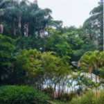 Apartamento à venda com 2 suítes em Jardim Londrina, São Paulo, SP