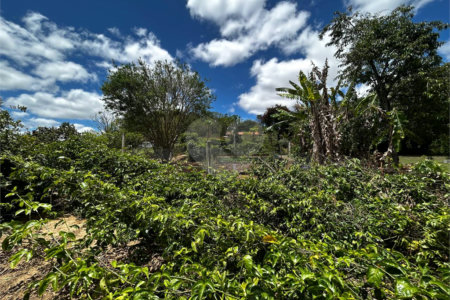 Sítio à venda com 2 quartos em Área Rural de Varginha, Itapetininga, SP