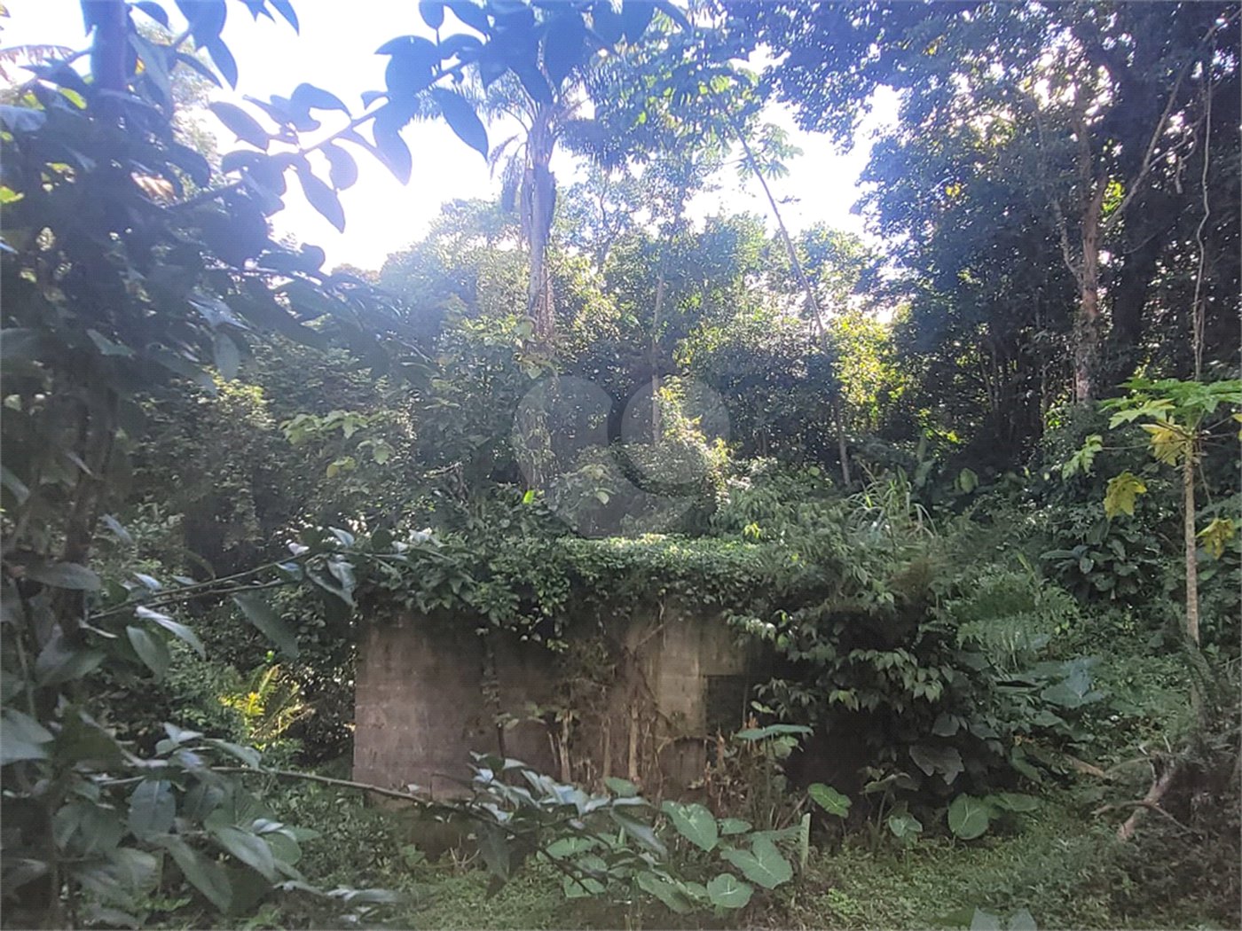 Chácara à venda com 3 quartos em Parque Alvorada, Suzano, SP