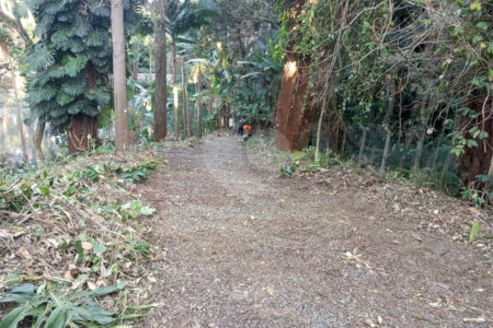 Terreno à venda com 1 suíte em Alto da Boa Vista, São Paulo, SP