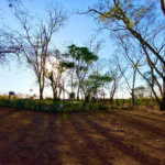 Sítio na cidade de Taiuva-SP.
