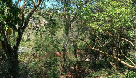Chácara à venda com 3 quartos, sendo 1 suíte,  em Jardim Waldez, Mairinque, SP