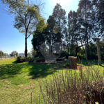 Casa à venda ou para alugar com 5 suítes no condomínio Fazenda Boa Vista, Porto Feliz - SP