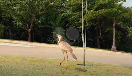 Terreno à venda no condomínio Up Residencial, Votorantim - SP