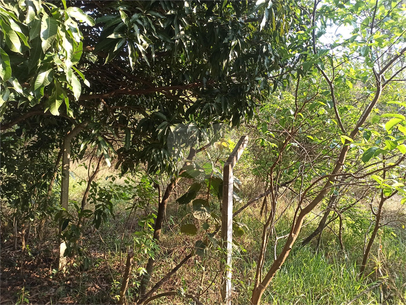 Terreno à venda em Bosque dos Eucalíptos, Atibaia, SP