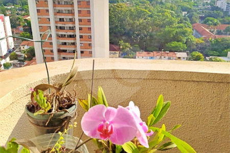 Apartamento à venda ou para alugar com 2 quartos em Chácara Santo Antônio (zona Sul), São Paulo, SP
