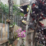 Sobrado à venda com 3 quartos, sendo 1 suíte, em Vila Mazzei, São Paulo, SP