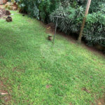 Sobrado à venda com 4 suítes em Tremembé, São Paulo, SP