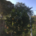 Chácara à venda com 2 quartos, sendo 1 suíte,  em Fazenda Genebra, Sorocaba, SP