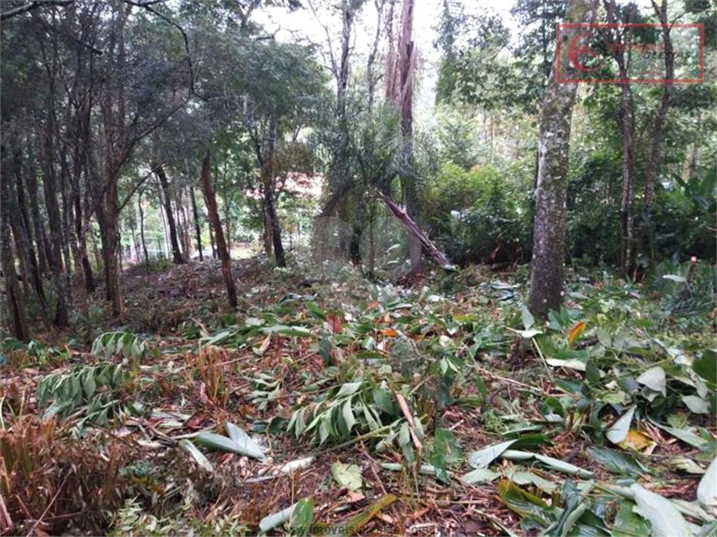 Terreno à venda em Serra da Cantareira, Mairiporã, SP