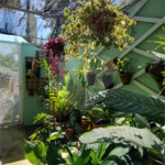 Casa à venda com 4 quartos, sendo 2 suítes, no condomínio Parque Chapada Itu, Itu - SP