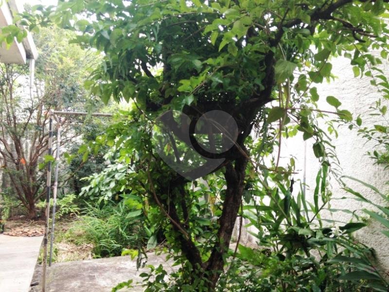 Casa Térrea à venda com 3 quartos, sendo 1 suíte, em Vila Cordeiro, São Paulo, SP
