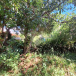 Casa à venda com 4 quartos, sendo 1 suíte, em Santa Cândida, Vinhedo, SP