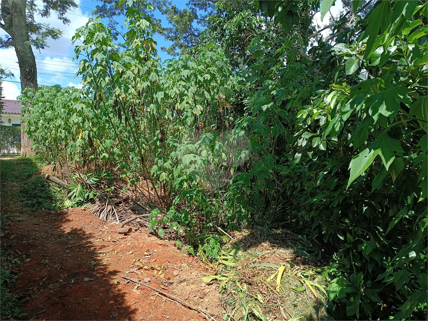 Terreno à venda no Centro (mailasqui), São Roque, SP