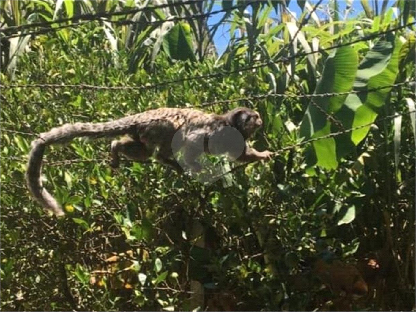 Chácara à venda com 3 quartos, sendo 2 suítes,  em Jardim Mirantes de Ipanema, Araçoiaba da Serra, SP