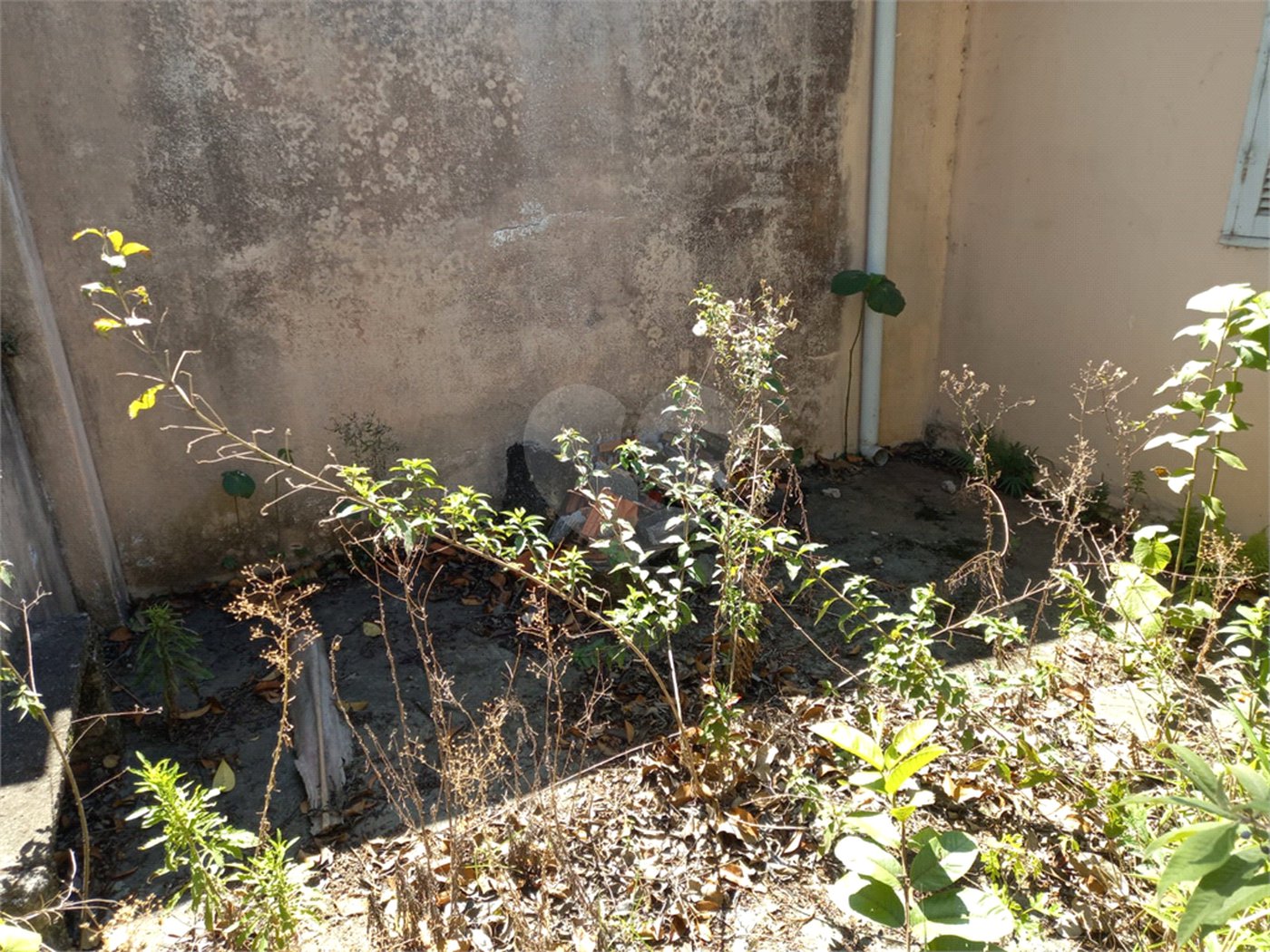 Terreno à venda em Vila Albertina, São Paulo, SP