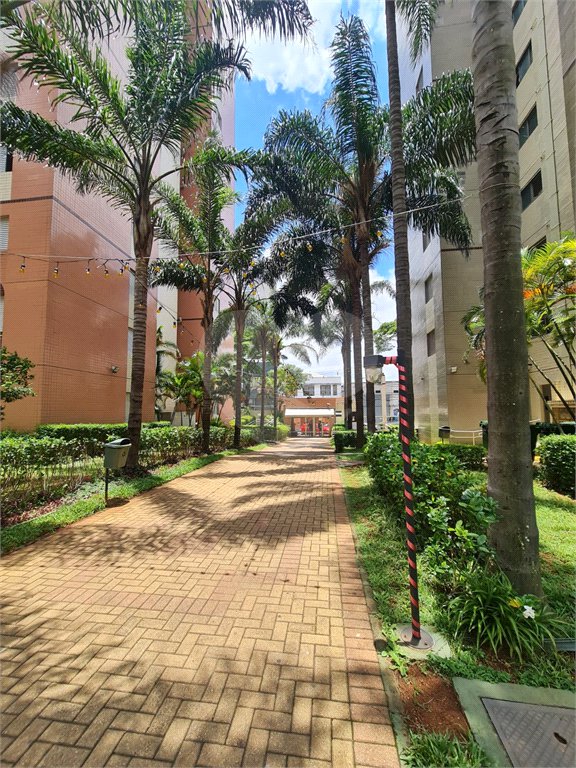 Apartamento à venda com 3 quartos, sendo 1 suíte, em Cambuci, São Paulo, SP