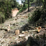 Terreno à venda em Serra da Cantareira, Mairiporã, SP