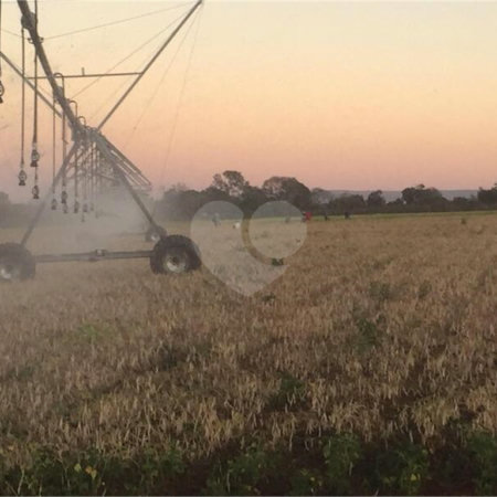 Fazenda à venda com 2 quartos em Canabrava, João Pinheiro, MG
