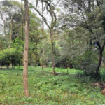 Casa à venda com 4 suítes no condomínio Chácara Flora, São Paulo - SP
