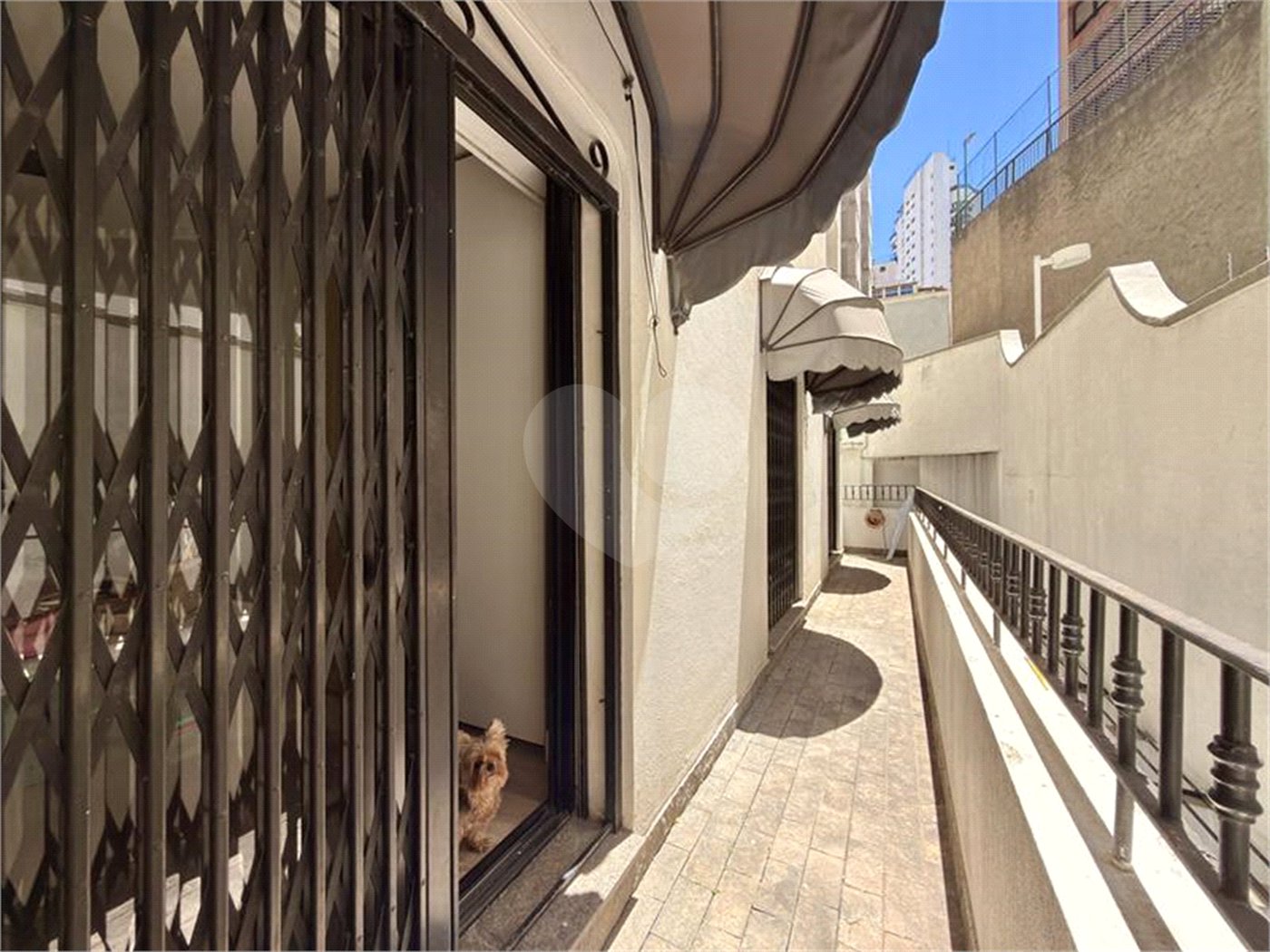 Apartamento à venda com 3 quartos, sendo 1 suíte, em Santana, São Paulo, SP